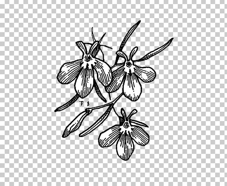 Drawing Symmetry Line /m/02csf Pattern PNG, Clipart, Art, Artwork, Bee, Black And White, Branch Free PNG Download