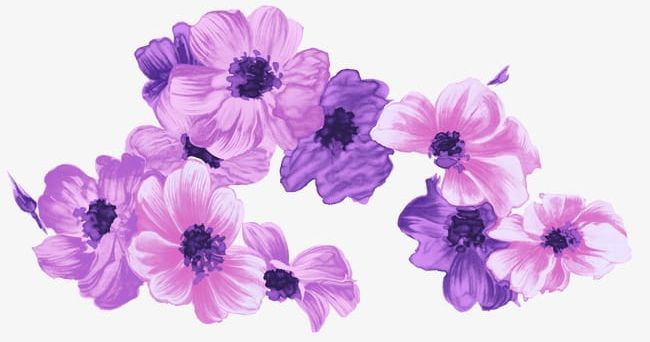 Purple Flower PNG, Clipart, Backgrounds, Beauty In Nature, Blossom, Blue, Botany Free PNG Download