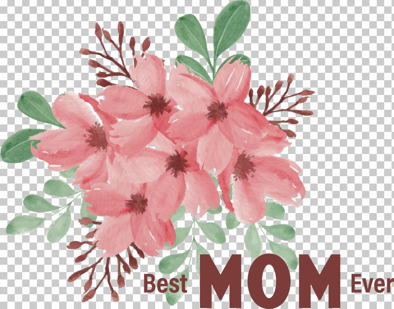 Cherry Blossom PNG, Clipart, Cherry Blossom, Drawing, Floral Design, Flower, Flower Bouquet Free PNG Download