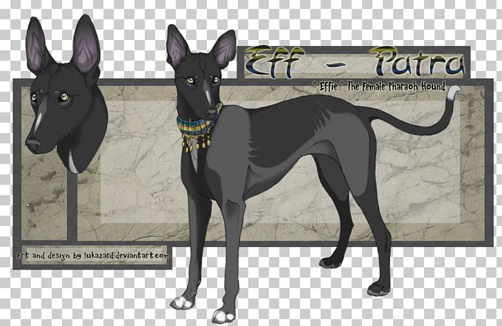 Italian Greyhound Pharaoh Hound Dog Breed Whippet PNG, Clipart, Art, Carnivoran, Deviantart, Digital Art, Dog Free PNG Download