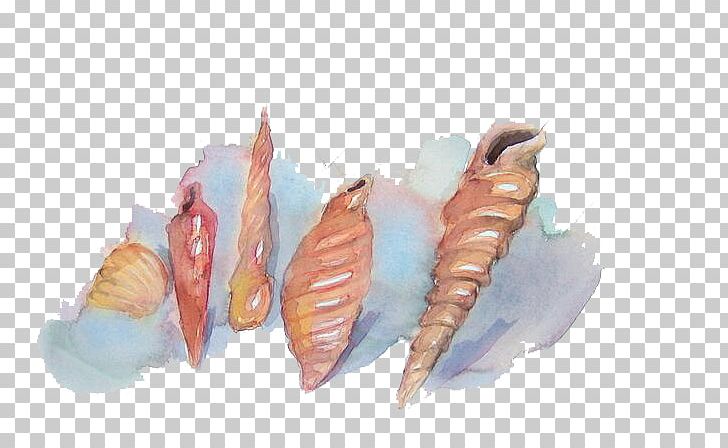 Seashell Watercolor Painting PNG, Clipart, Art, Cartoon, Cartoon Conch, Conch, Conch Blowing Free PNG Download