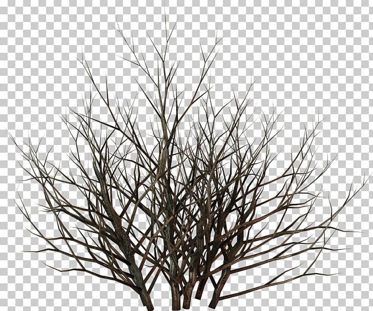 Tree Raster Graphics PNG, Clipart, Black And White, Branch, Desktop Wallpaper, Digital Image, Grass Free PNG Download