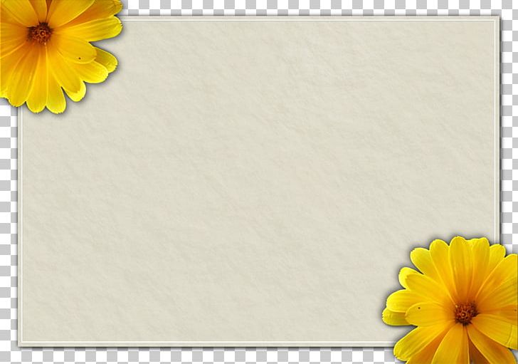 Yellow Color Paper PNG, Clipart, Color, Daisy Family, Diary, Flower, Flowering Plant Free PNG Download