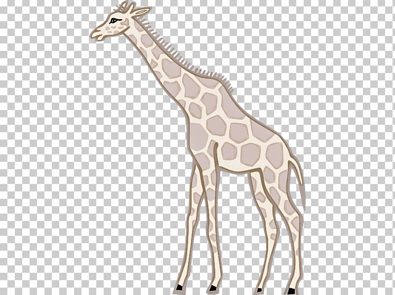 Giraffe Meter Animal Figurine Pattern Giraffids PNG, Clipart, Animal Figurine, Biology, Giraffe, Giraffids, Meter Free PNG Download