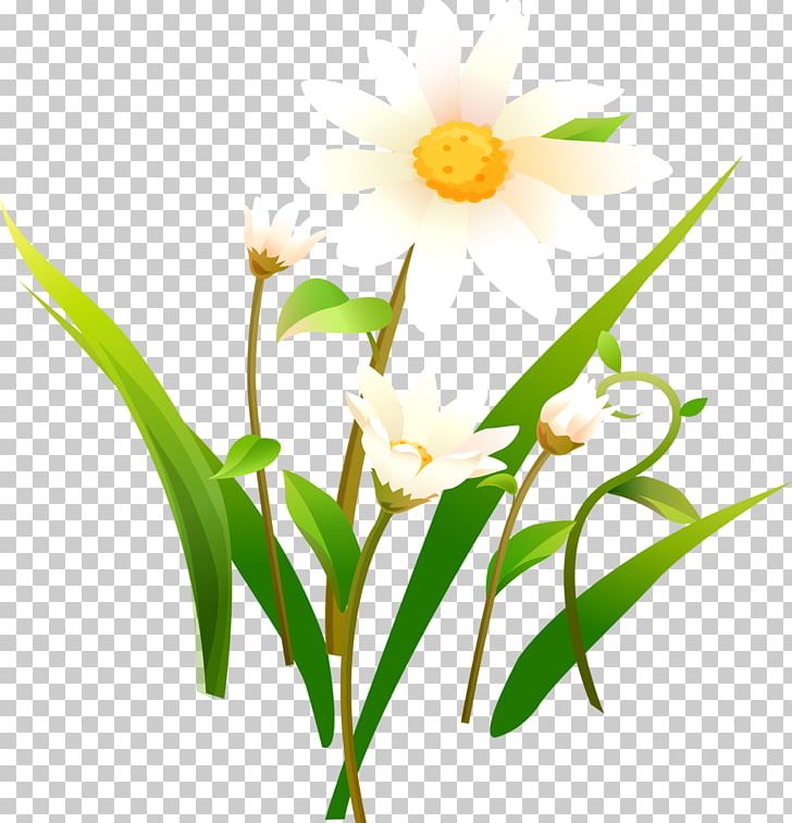 Flower Of The Fields Matricaria PNG, Clipart, Art, Branch, Chamomile, Flora, Floral Design Free PNG Download