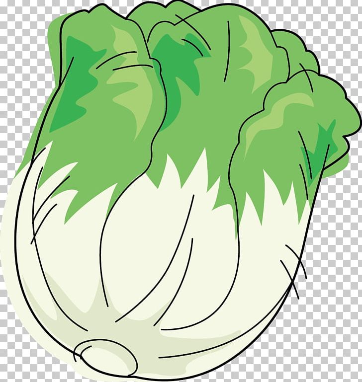 Leaf Vegetable Napa Cabbage Cartoon PNG, Clipart, Area, Art, Artwork, Bok Choy, Cabbage Free PNG Download
