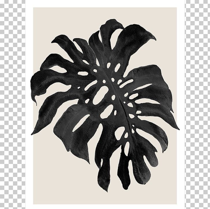 Swiss Cheese Plant Art Philodendron Canvas Print Vine PNG, Clipart, Art, Black And White, Blue, Canvas, Canvas Print Free PNG Download
