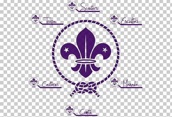 World Organization Of The Scout Movement World Scout Emblem Scouting For Boys The Scout Association PNG, Clipart, Amnesty International, Label, Logo, Material, Others Free PNG Download