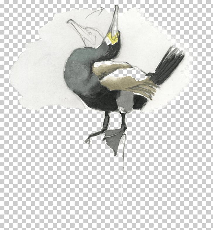 Feather Beak PNG, Clipart, Animals, Beak, Bird, Crane, Crane Like Bird Free PNG Download