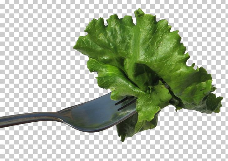 Lettuce Vegetable Salad Food Eating PNG, Clipart, Arugula, Bow Tie, Condiment, Cucumber, Diabetes Mellitus Free PNG Download