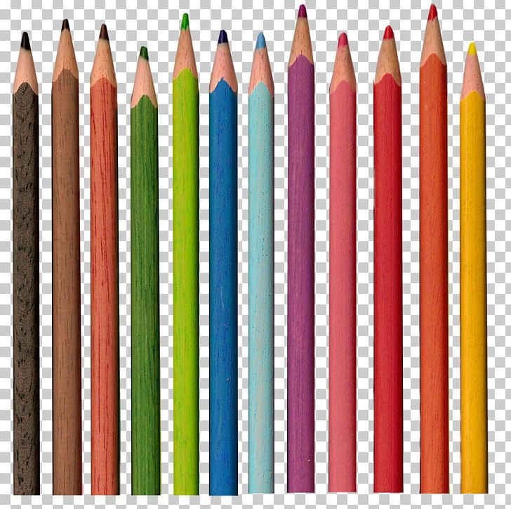Colored Pencil Prismacolor PNG, Clipart, Clipping Path, Color, Colored Pencil, Colorful Pencils, Crayon Free PNG Download