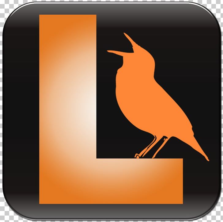Bird Vocalization Beak Birdwatching App Store PNG, Clipart, America, Animals, Apple, App Store, Beak Free PNG Download