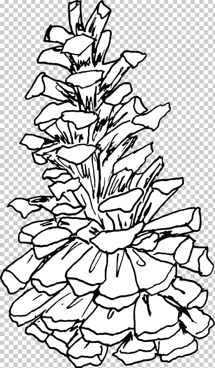 Christmas Tree Line Art Plant Stem Leaf PNG, Clipart, Black And White, Branch, Branching, Christmas, Christmas Tree Free PNG Download