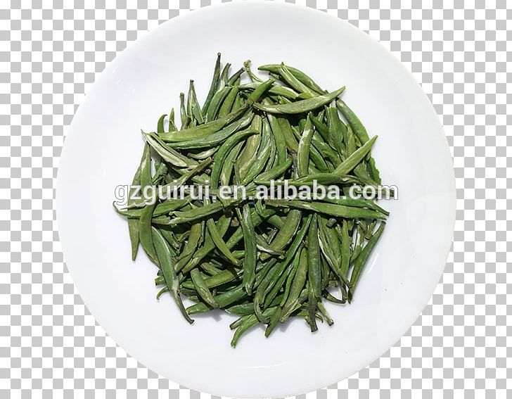 Hōjicha Green Tea Longjing Tea Tea Plant PNG, Clipart, Alibaba Group, Bean, Biluochun, Dianhong, Food Drinks Free PNG Download
