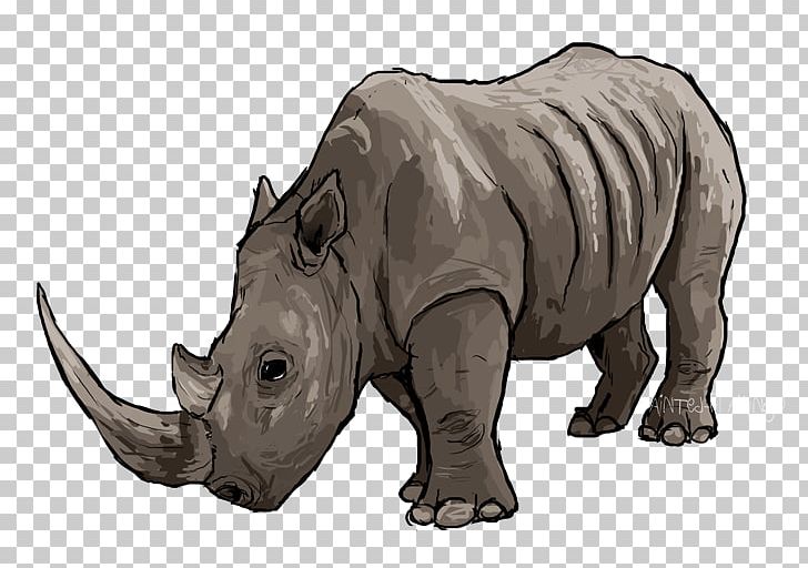 Rhinoceros Terrestrial Animal Wildlife Indian Elephant PNG, Clipart, Animal, Animals, Elephant, Fauna, Horn Free PNG Download