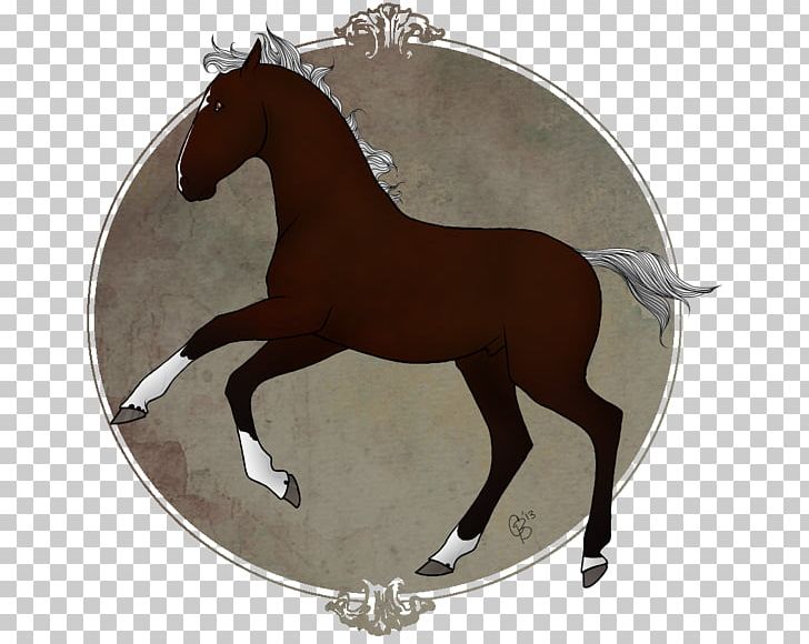 Stallion Rein Mustang Mare Halter PNG, Clipart, Bad Boys, Bridle, Halter, Horse, Horse Like Mammal Free PNG Download