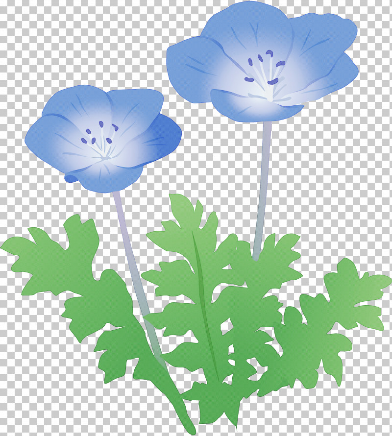 Flower Plant Petal Poppy Family Anemone PNG, Clipart, Anemone, Baby Blue Eyes, Flower, Geranium, Pedicel Free PNG Download