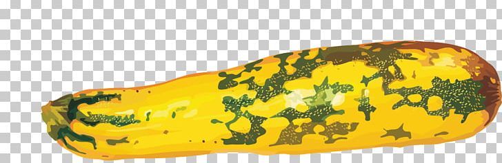 Pumpkin Zucchini Cucurbita PNG, Clipart, Adobe Illustrator, Cartoon, Cartoon Cucumber, Computer Graphics, Cucumber Free PNG Download