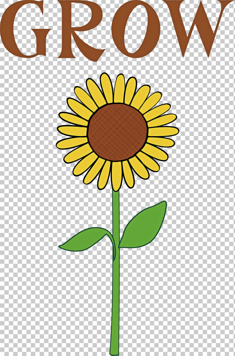 GROW Flower PNG, Clipart, Cut Flowers, Daisy Family, Flower, Grow, Happiness Free PNG Download