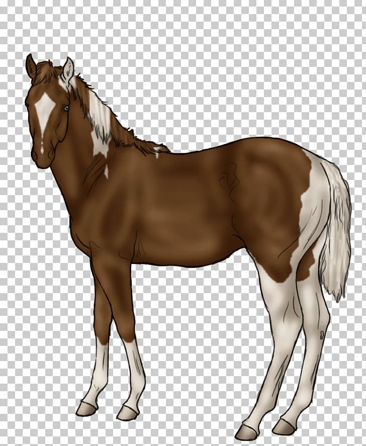 Mane Horse Foal Stallion Rein PNG, Clipart, Animals, Bit, Bridle, Colt, Foal Free PNG Download