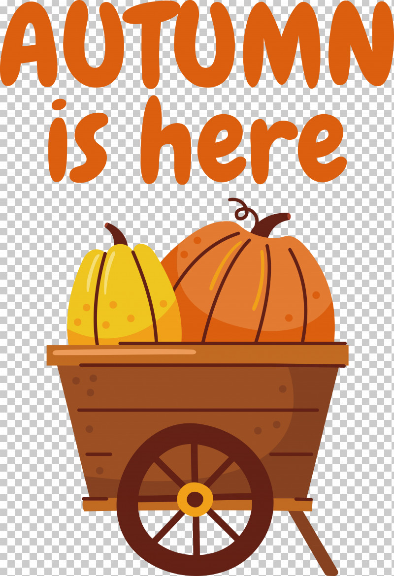 Pumpkin PNG, Clipart, Color, Drawing, Field Pumpkin, Pumpkin, Squash Free PNG Download