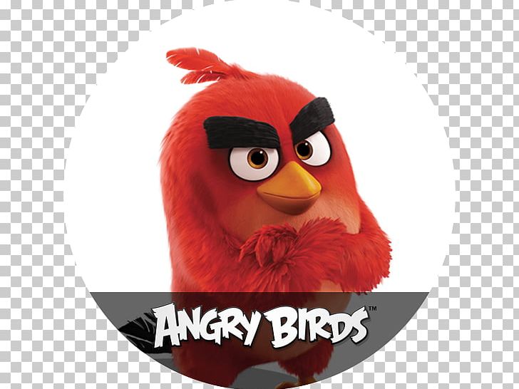 Angry Birds Space Hardcover Stuffed Animals & Cuddly Toys Notebook Marshall Islands PNG, Clipart, Angry Birds, Angry Birds Movie, Angry Birds Space, Beak, Blue Free PNG Download