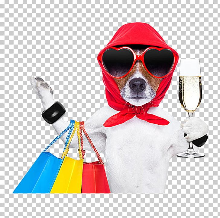 Dog Shopping Bag Stock Photography Pet Shop PNG, Clipart, Animal, Animals, Bag, Coffee Shop, Discount Free PNG Download