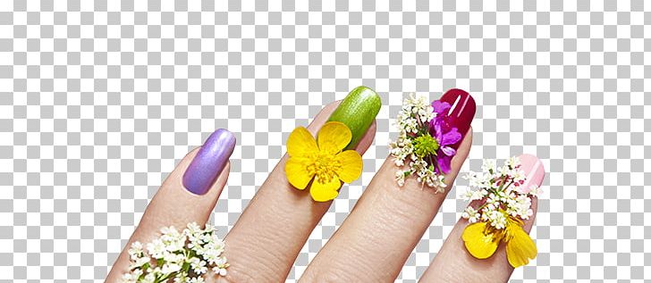 Nails PNG, Clipart, Nails Free PNG Download