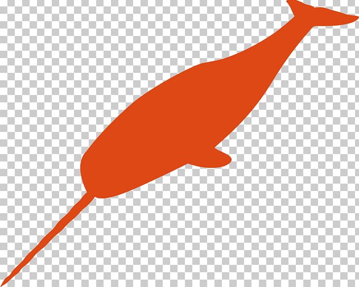 Narwhal Silhouette Drawing PNG, Clipart, Animals, Beak, Bird, Drawing, Fauna Free PNG Download