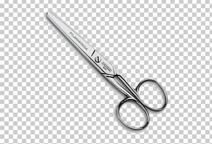 Scissors DIY Store Cutting PNG, Clipart, Aesthetics, Angle, Corrosion, Cutting, Diy Store Free PNG Download