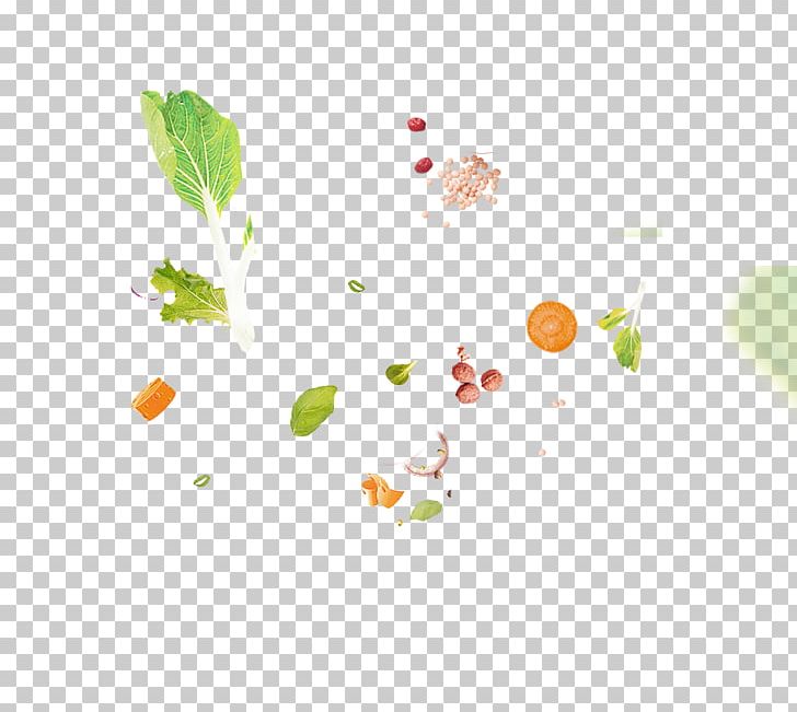 Vegetable Fruit Food PNG, Clipart, Auglis, Background Green, Floating, Floating Material, Food Drinks Free PNG Download