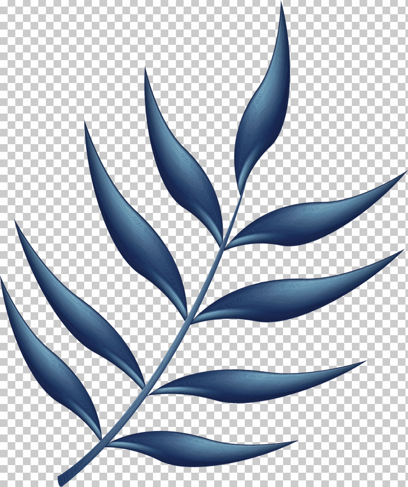 Plant Stem Branch Leaf Line Pattern PNG, Clipart, Biology, Branch, Leaf, Line, Paint Free PNG Download