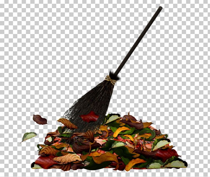 Broom Harry Potter PNG, Clipart, Akhir Pekan, Broom, Broom Sweep, Clip Art, Collage Free PNG Download