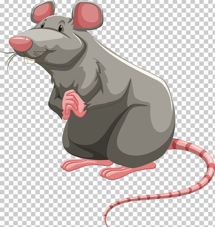 Laboratory Rat Brown Rat Rodent PNG, Clipart, Art, Brown Rat, Can Stock Photo, Cartoon, Clip Art Free PNG Download