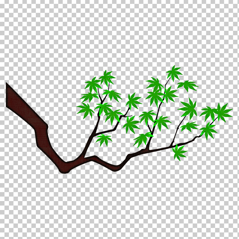 Maple Branch Maple Leaves Maple Tree PNG, Clipart, Branch, Green, Leaf, Maple Branch, Maple Leaves Free PNG Download