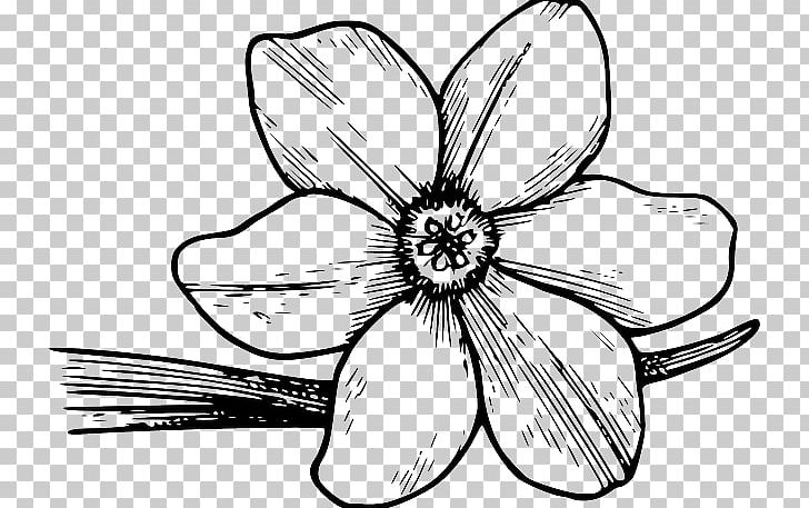 Coloring Book Flower Colouring Pages Drawing PNG, Clipart, Artwork, Black And White, Child, Color, Coloring Book Free PNG Download