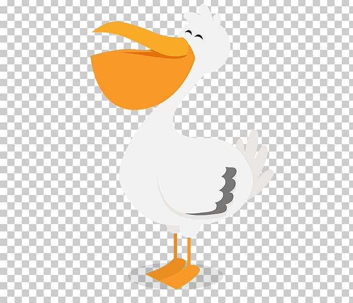 Duck Beak PNG, Clipart, Animals, Beak, Bird, Boyut, Chicken Free PNG Download