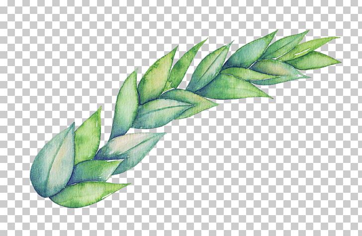 Png Material Food Leaf PNG, Clipart, Adobe Illustrator, Background Green, Cartoon, Computer Icons, Download Free PNG Download