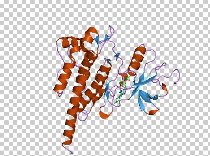 ABL2 Oncogene Enzyme PNG, Clipart, 2 F, Abl, Art, Computer, Computer Wallpaper Free PNG Download
