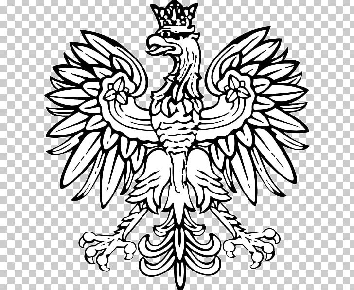 Coat Of Arms Of Poland Eagle PNG, Clipart, Art, Artwork, Beak, Bird, Black And White Free PNG Download