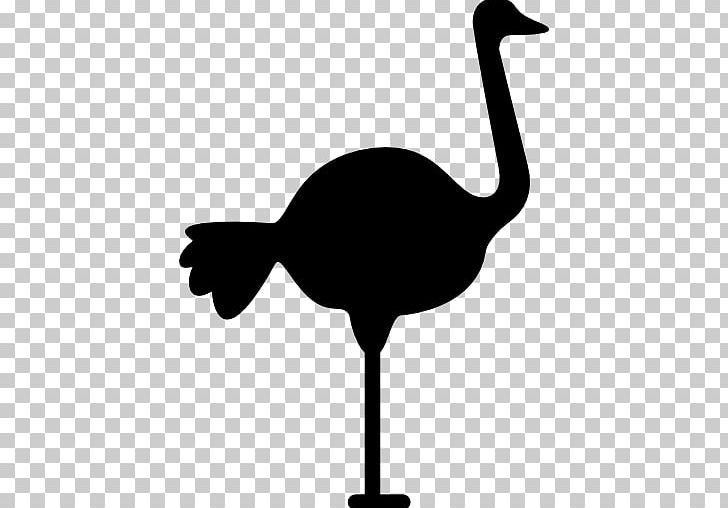 Common Ostrich Bird Computer Icons PNG, Clipart, Animals, Beak, Bird, Black And White, Clip Art Free PNG Download