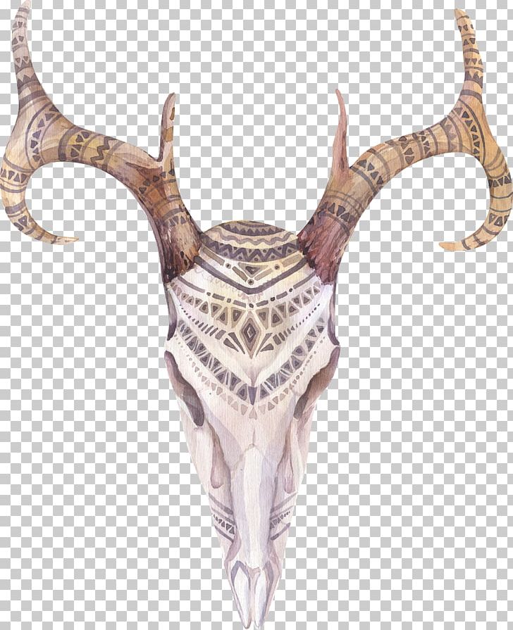 Cow's Skull: Red PNG, Clipart, Antelope, Antler, Art, Boho Chic, Bohochic Free PNG Download