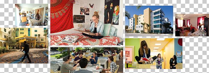 Ringling College Of Art And Design Dormitory Student Art School PNG, Clipart, Art, Art School, Campus, Collage, College Free PNG Download