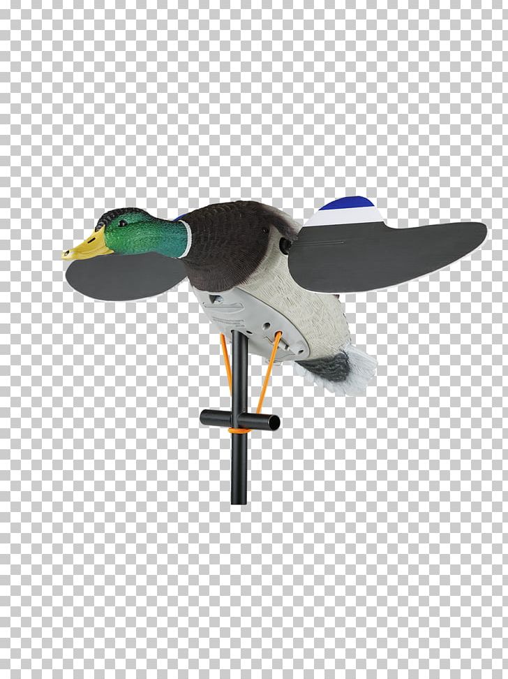 Duck Decoy Mallard Duck Decoy Waterfowl Hunting PNG, Clipart,  Free PNG Download