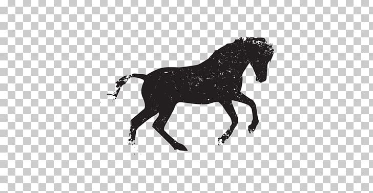 Horse Stallion Pony PNG, Clipart, Animal Figure, Animals, Bit, Black, Black And White Free PNG Download