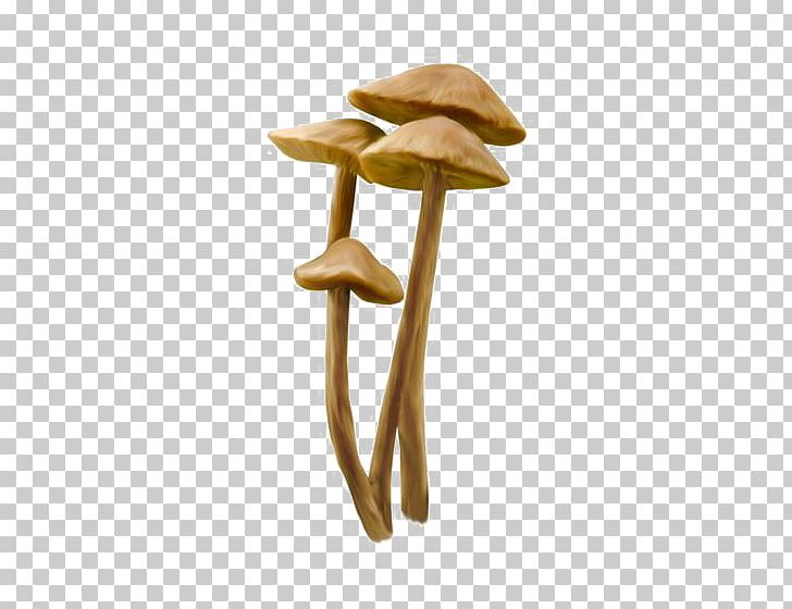 Mushroom PNG, Clipart, Clip, Download, Encapsulated Postscript, Fungus, Head Free PNG Download