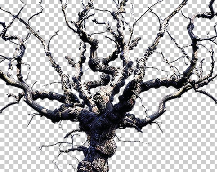 T.S. Eliots The Waste Land Modern Critical Interpretations Tree PNG, Clipart, Art, Black And White, Blossom, Book, Branch Free PNG Download