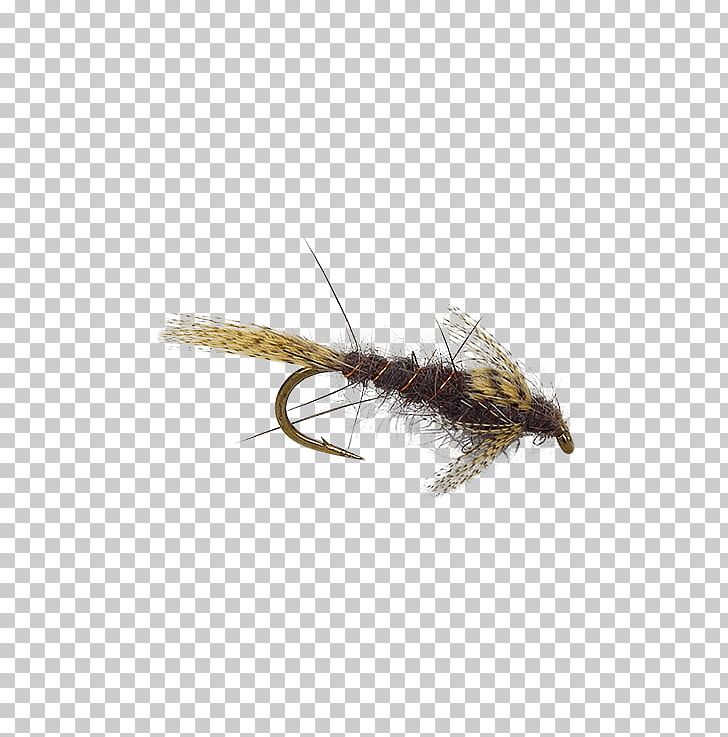 Artificial Fly Fly Fishing Fly Tying Nymph Hackles PNG, Clipart, Angling, Artificial Fly, Fishing, Fly, Fly Fishing Free PNG Download