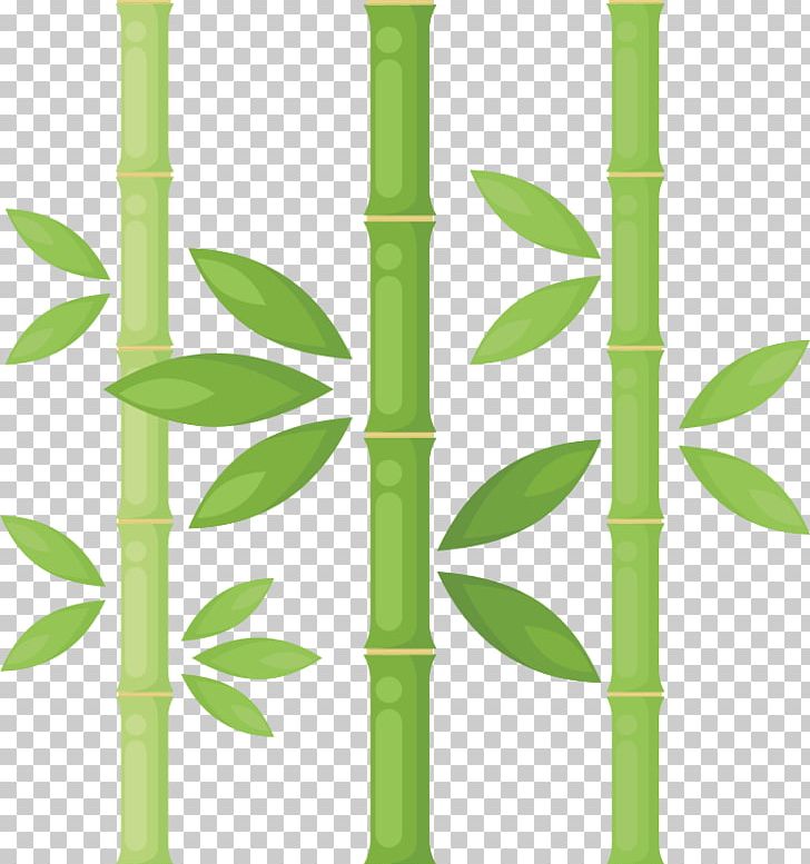 Bamboo Drawing PNG, Clipart, Angle, Bamboe, Bamboo, Drawing, Grass Free PNG Download
