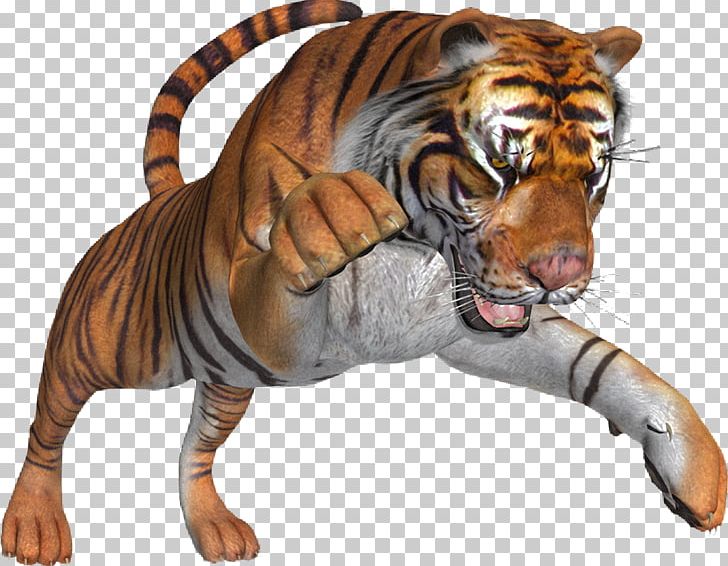Lion Leopard Cat Felidae Cheetah PNG, Clipart, Animal, Bengal Tiger, Big Cat, Big Cats, Carnivoran Free PNG Download